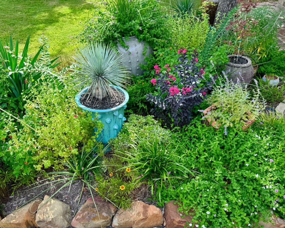 Planning a Garden That Grows Beautifully